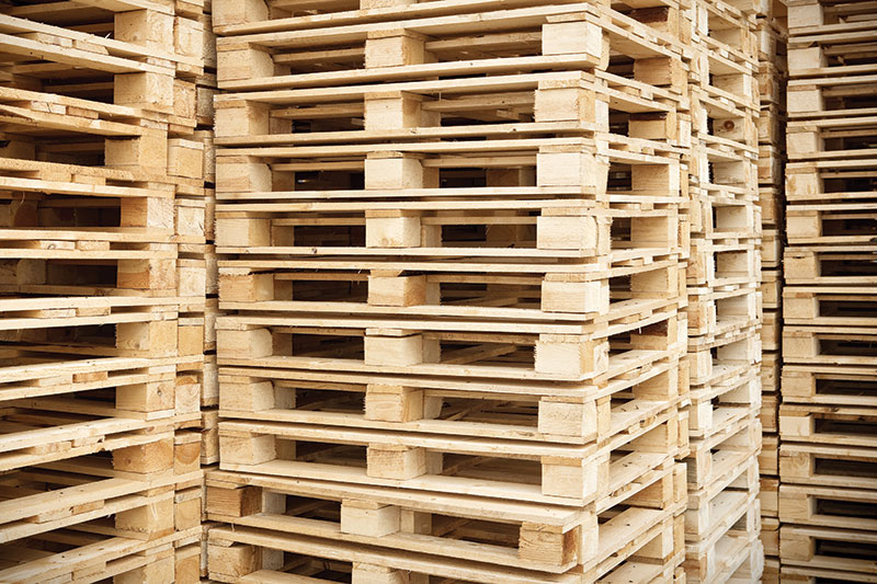 Plastic Pallets vs. Wood Pallets: How to Cut Costs in Your Next